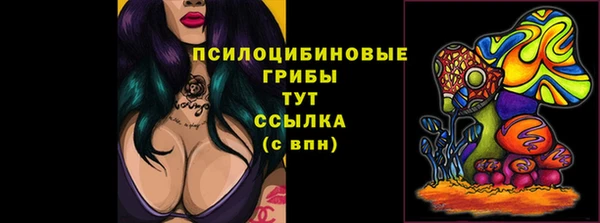 ешки Нефтекумск