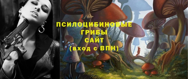 дживик Нея