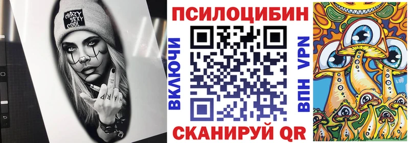 где купить   Пролетарск  Галлюциногенные грибы Psilocybine cubensis 